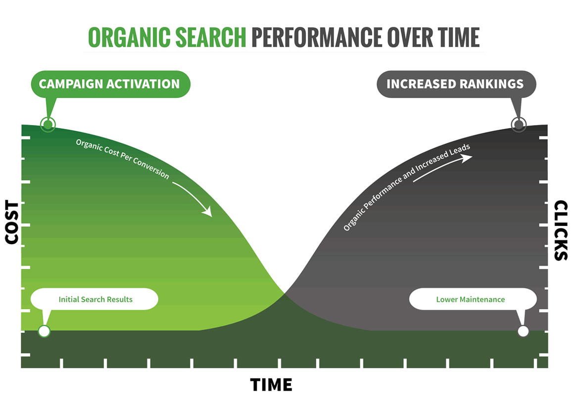 Organic seo performance by experts