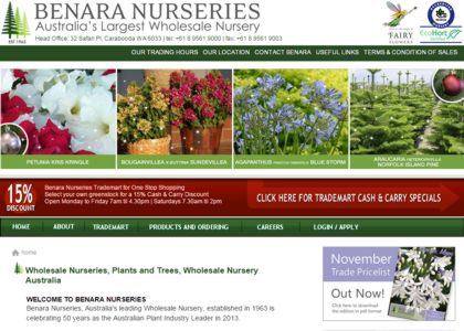 Benara Nursery SEO Results
