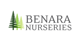 Benara Nurseries