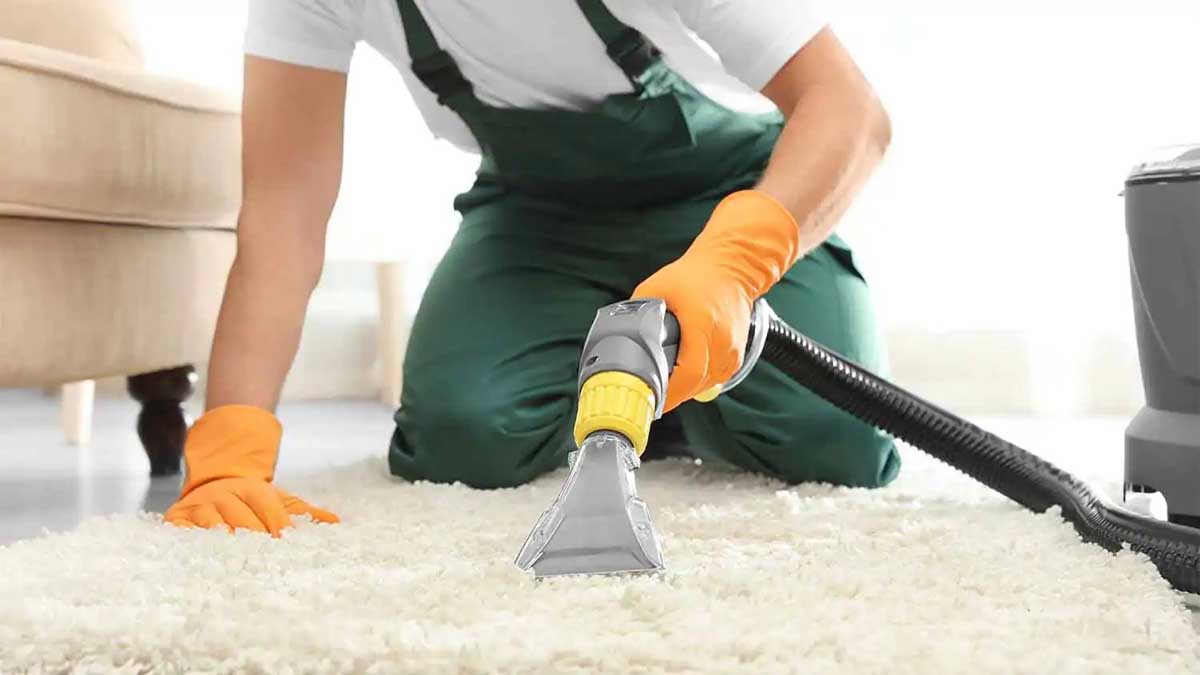 SEO Case Study: Brilliance Carpet Cleaning