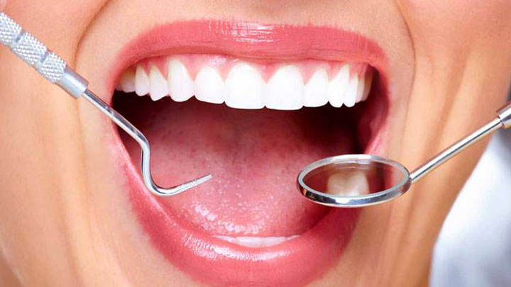 SEO Case Study for Dental O So Gentle