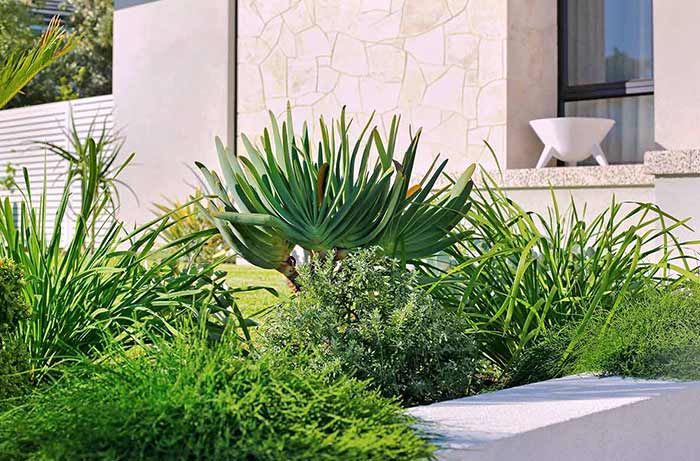 Perth Landscapes SEO Case Study