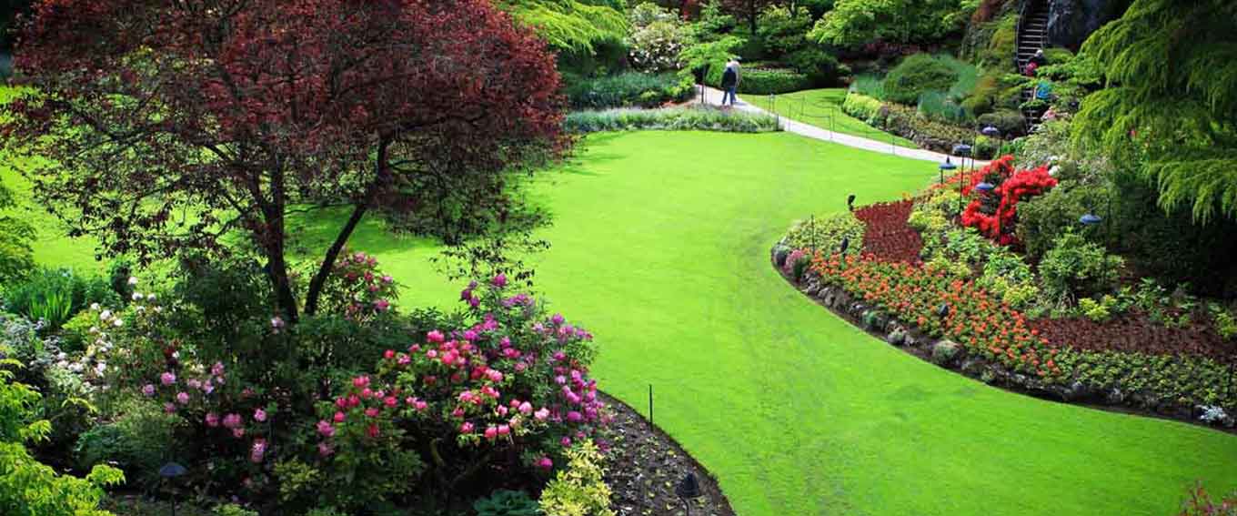 Case Study The Lawncare Man