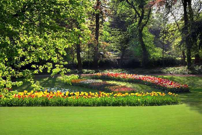 The Lawncare Man - Ranking SEO Case Study