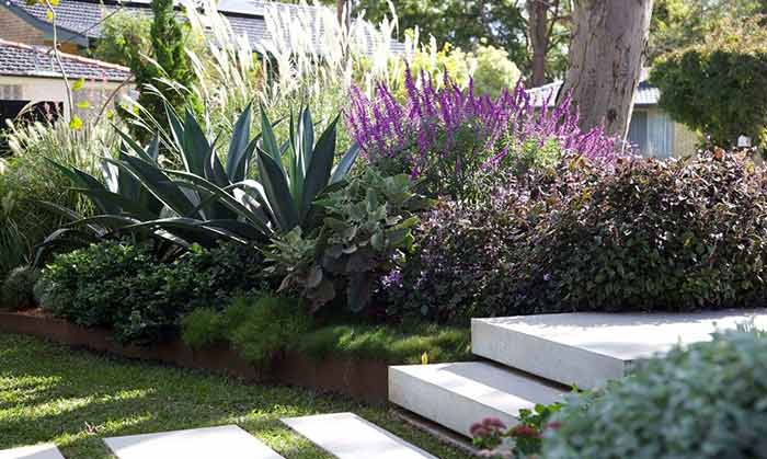 Case Study The Landscape Association Limited