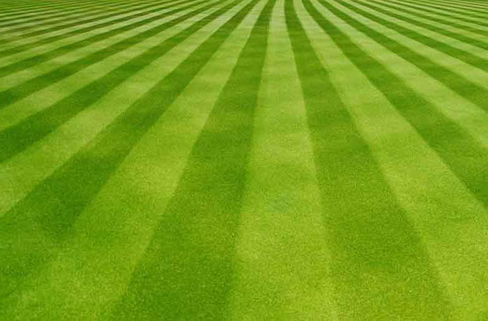 The Lawncare Man SEO Case Study