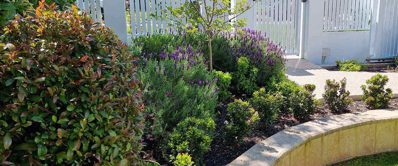 Case Study Martin Cuthbert Landscapes