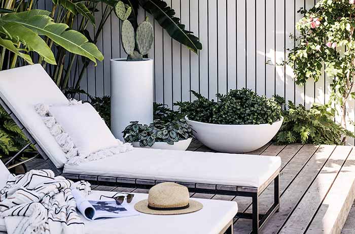The Balcony Garden SEO Case Study